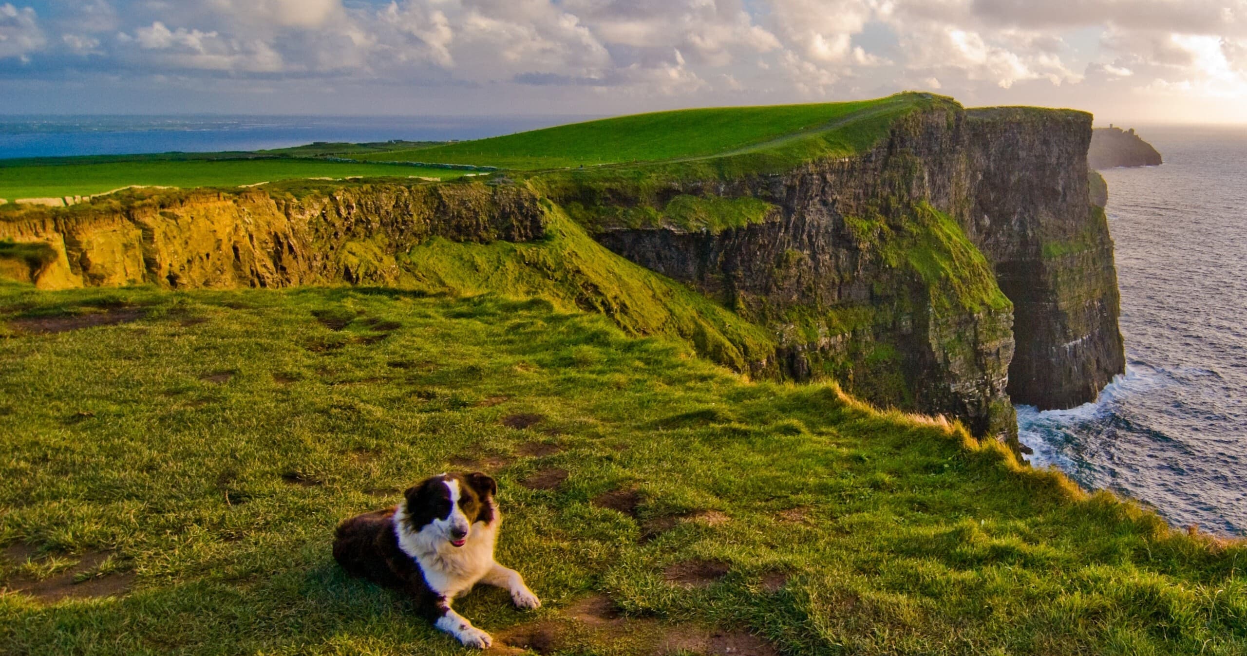 Land Adventures at Cliffs of Moher with Your Irish Tour