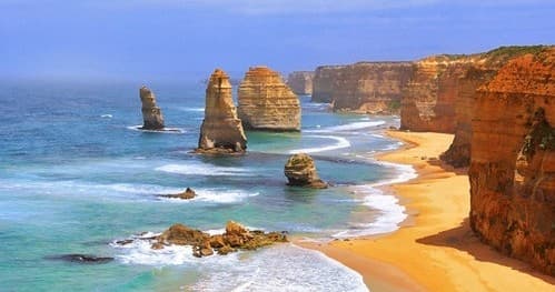 Land Adventures: Melbourne City & Koala Encounters with Mark’s Melbourne Private Tours