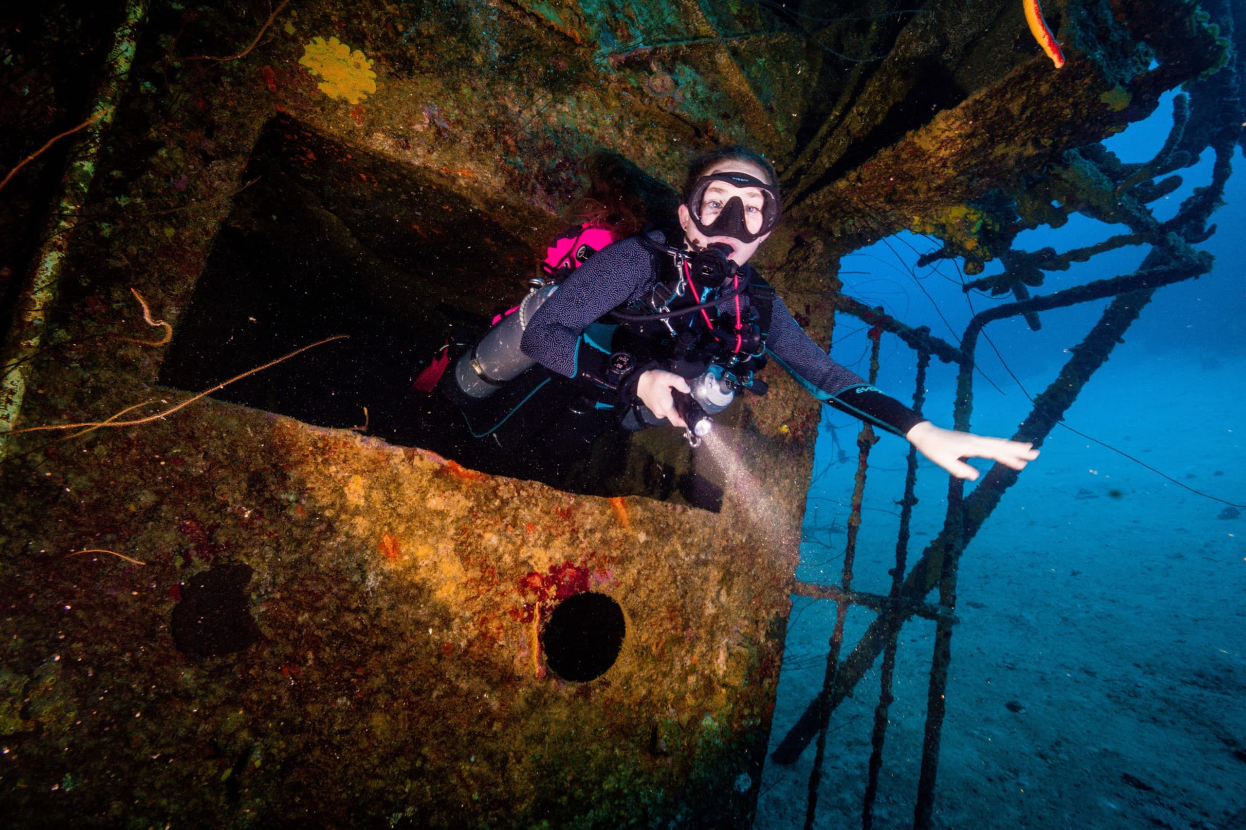 Night & Low-Visibility Shore Diving in Port Stephens — SDI Specialty Course photo 1