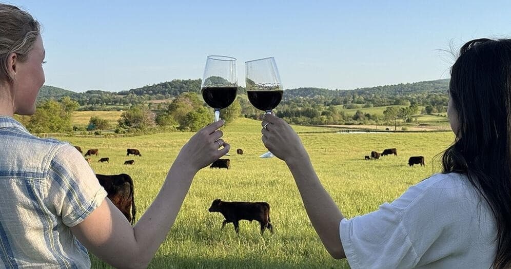 Pasture to Glass: Ovoka Farm Walking Wine Tasting in Paris VA