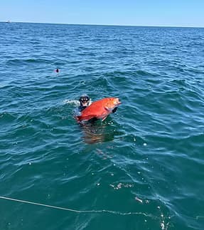 Intro to Spearfishing with 32 Charters in Orange Beach