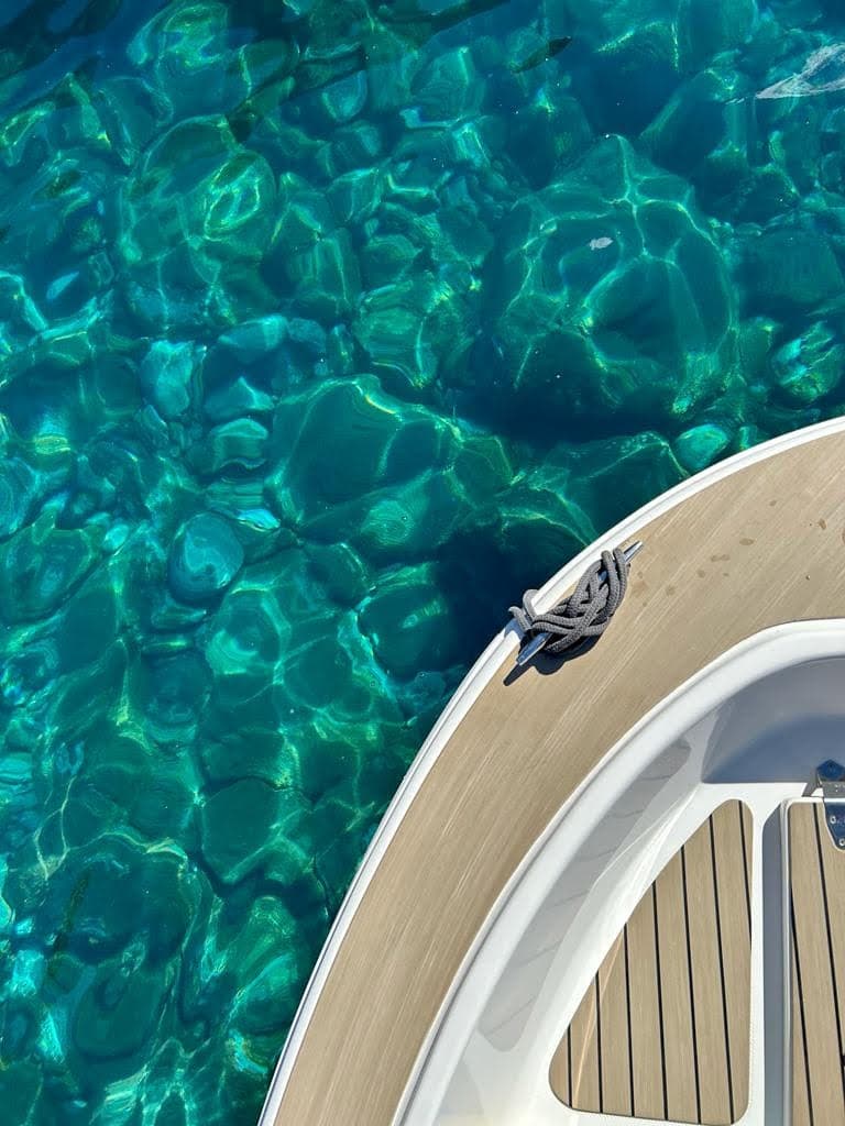 Half Day Boat Cruise with Paddleboarding & Snorkeling in Funchal