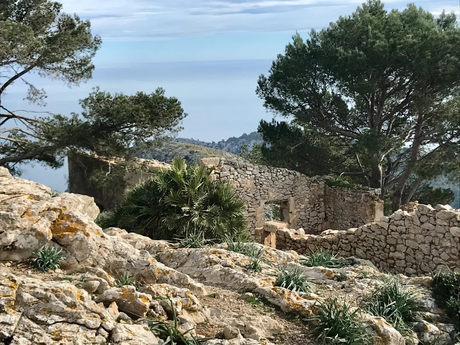 Summit Sa Talaia d'Alcúdia — Guided Hike to Mallorca’s Peninsula Peak photo 4
