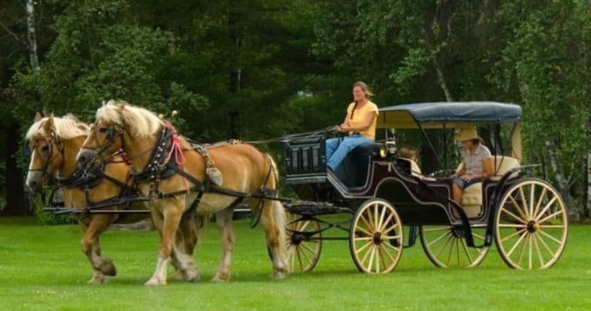 Sterling Mountain Farm Carriage Services team