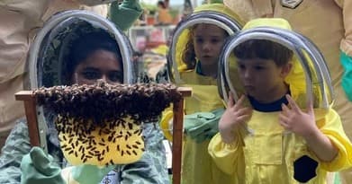 Discover Singapore’s Unique 3-in-1 Rooftop Farm Adventure: Bees, Ants & Worms