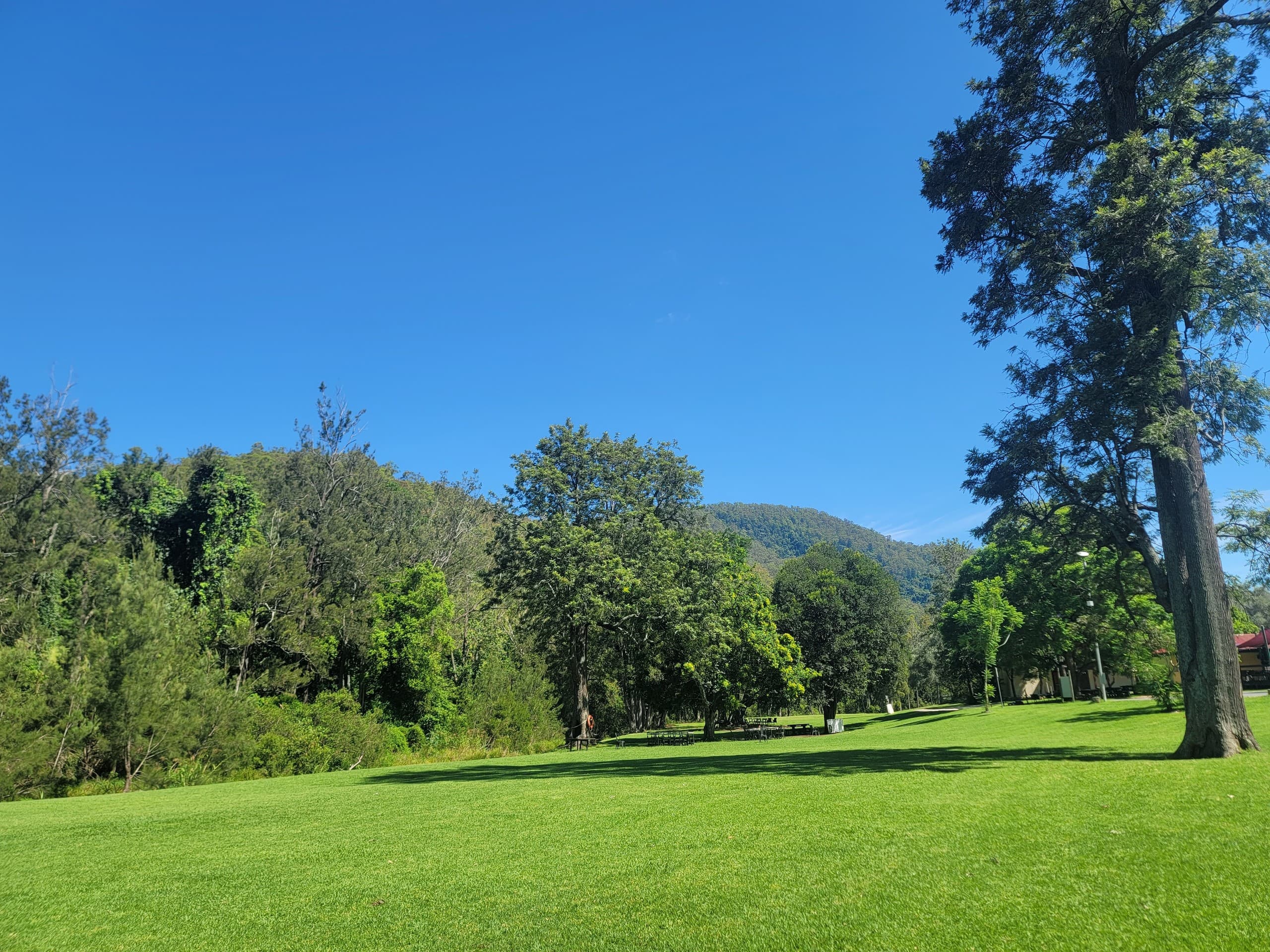 O’Reilly National Park & Tamborine Mountain: Canopy Walks, Alpacas and Wineries from Brisbane photo 1
