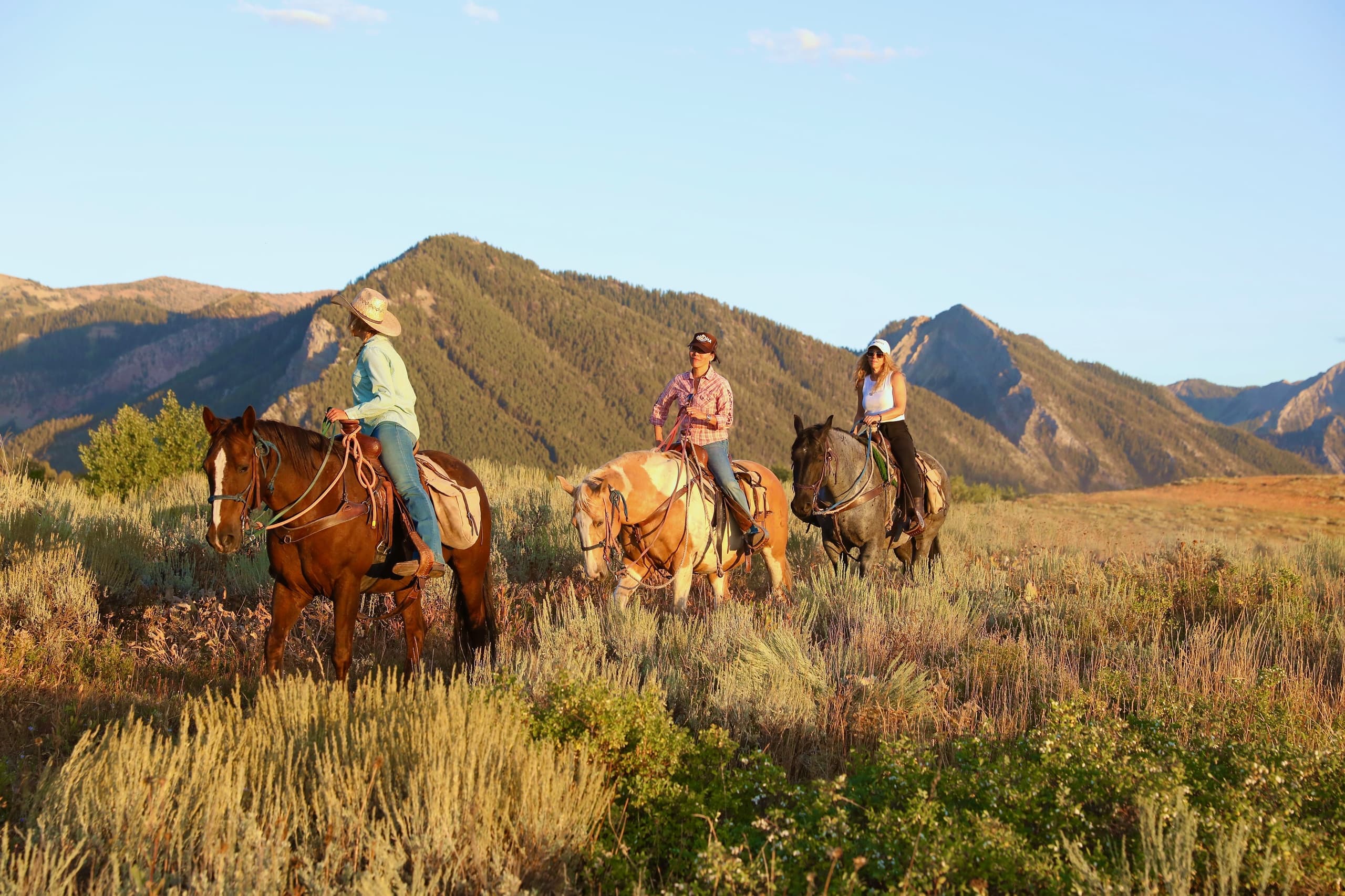 Ride The American: Summit Views and Moose at Willow Creek photo 2