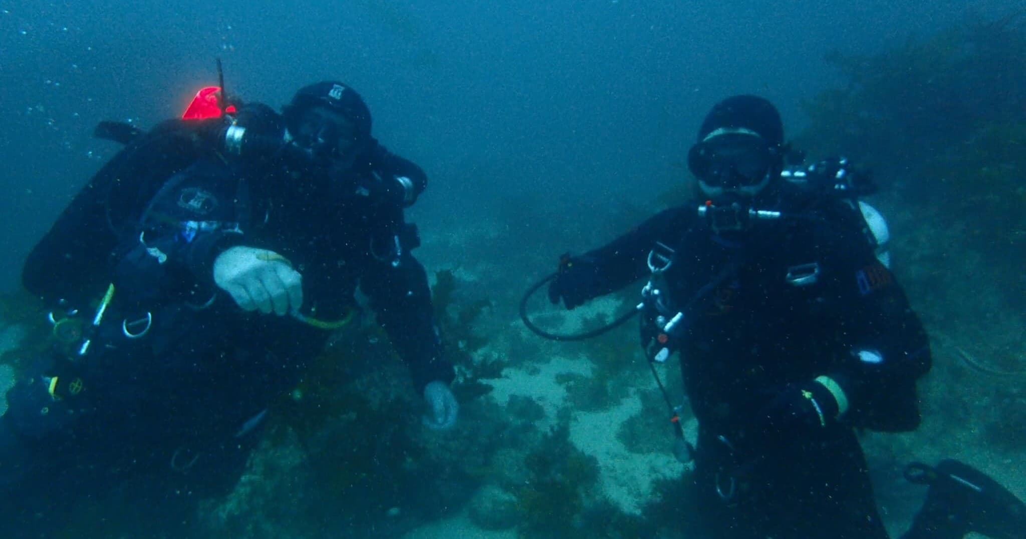 SCUDA team
