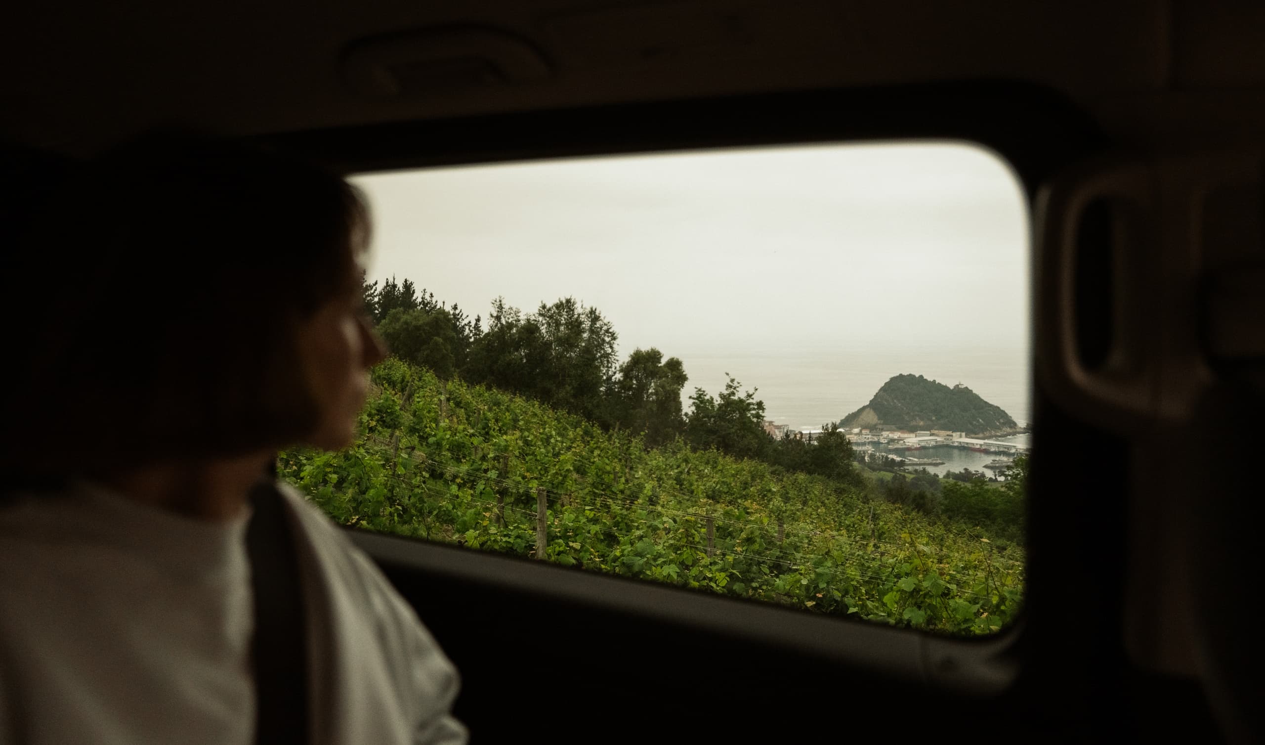 Land Adventures: Txakoli Vineyards Hike with Ikusnahi Tours