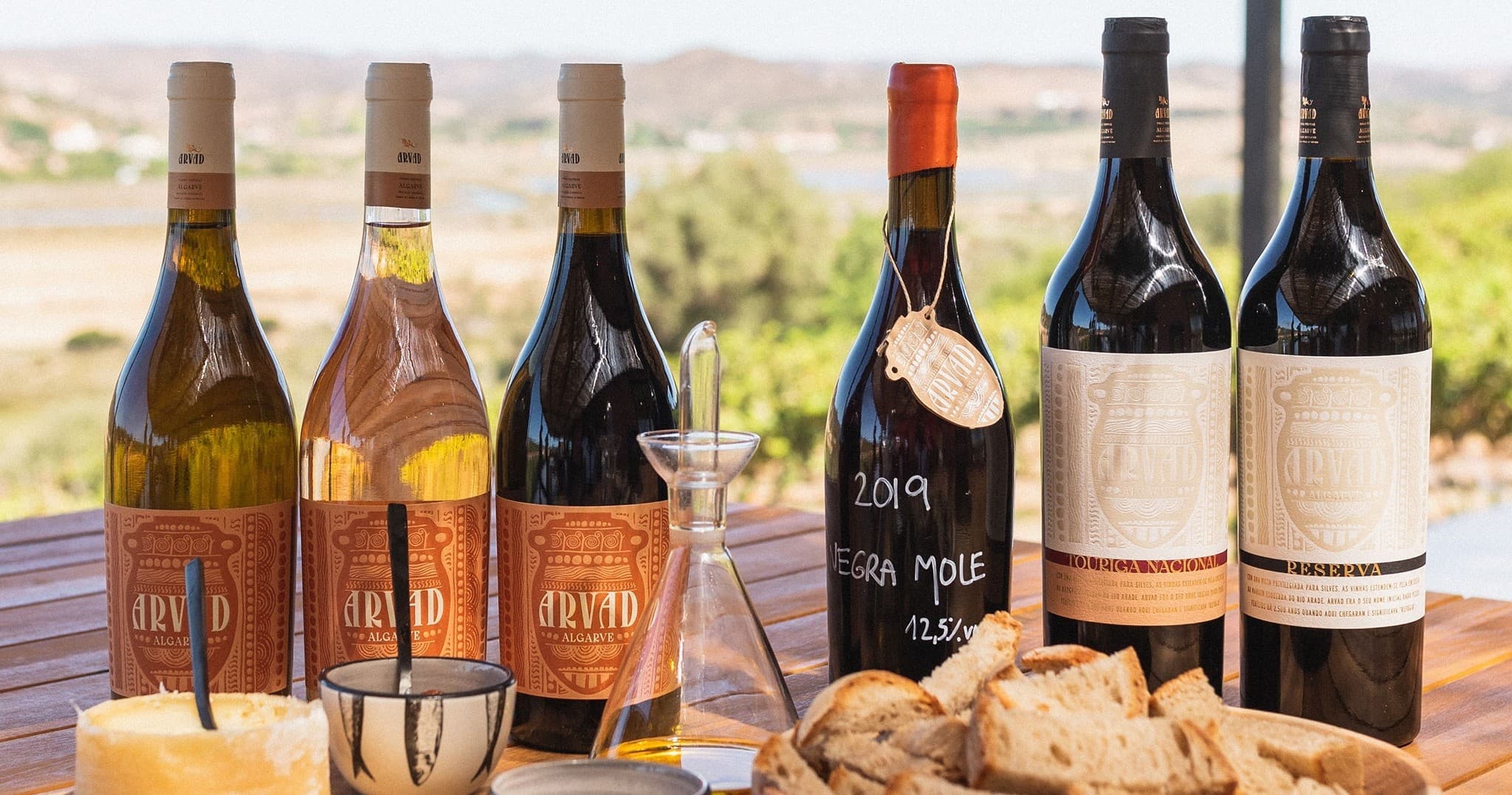 Wine Tasting & Vineyard Tour at Prova da Palavra in Arvad