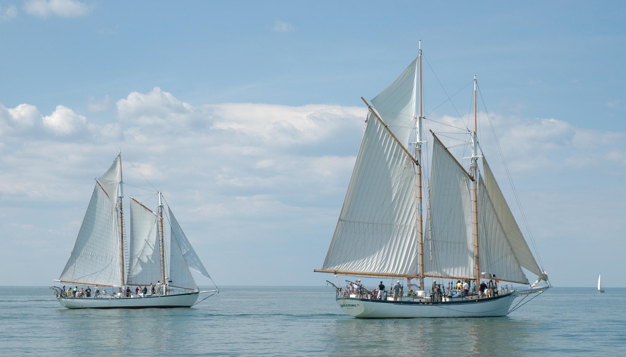 BaySail fleet