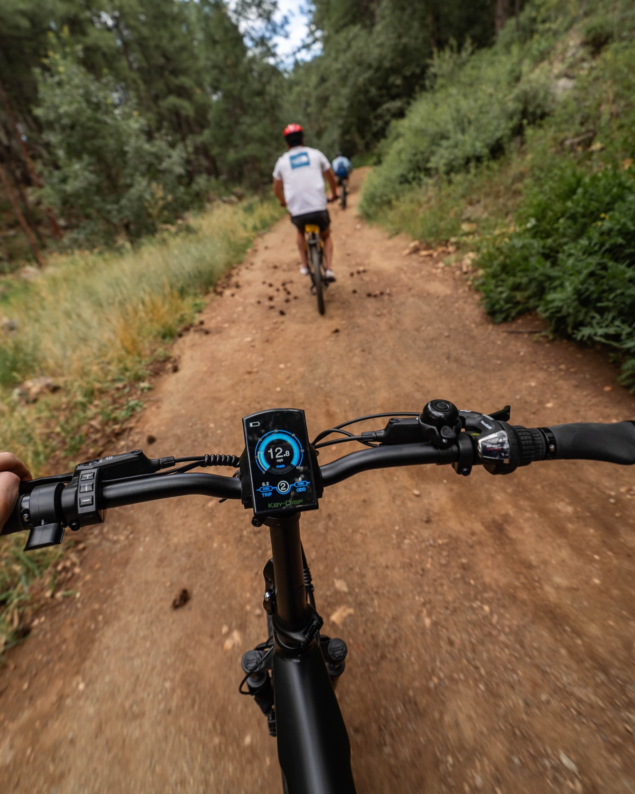 Handlebar POV of mountain biking on forest singletrack