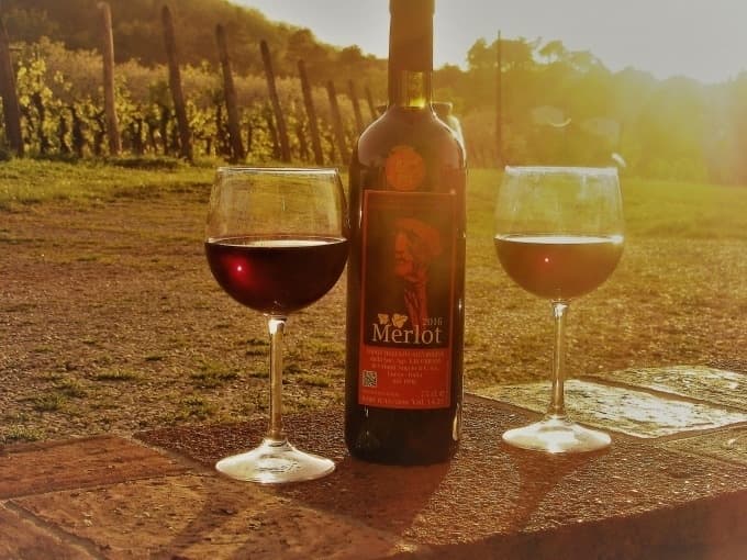 Land Adventures: Lucca E-Bike & Wine Tour with Tourist Center Lucca