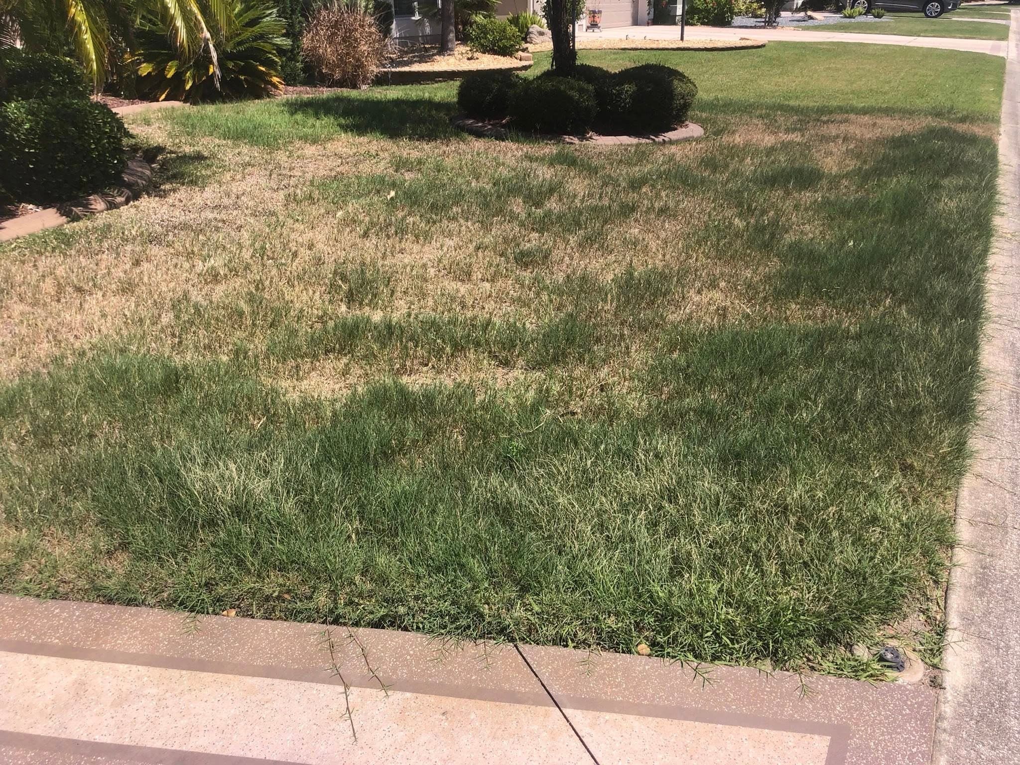 Lawn Care with Adam's Earth - Topdressing in The Villages photo 1