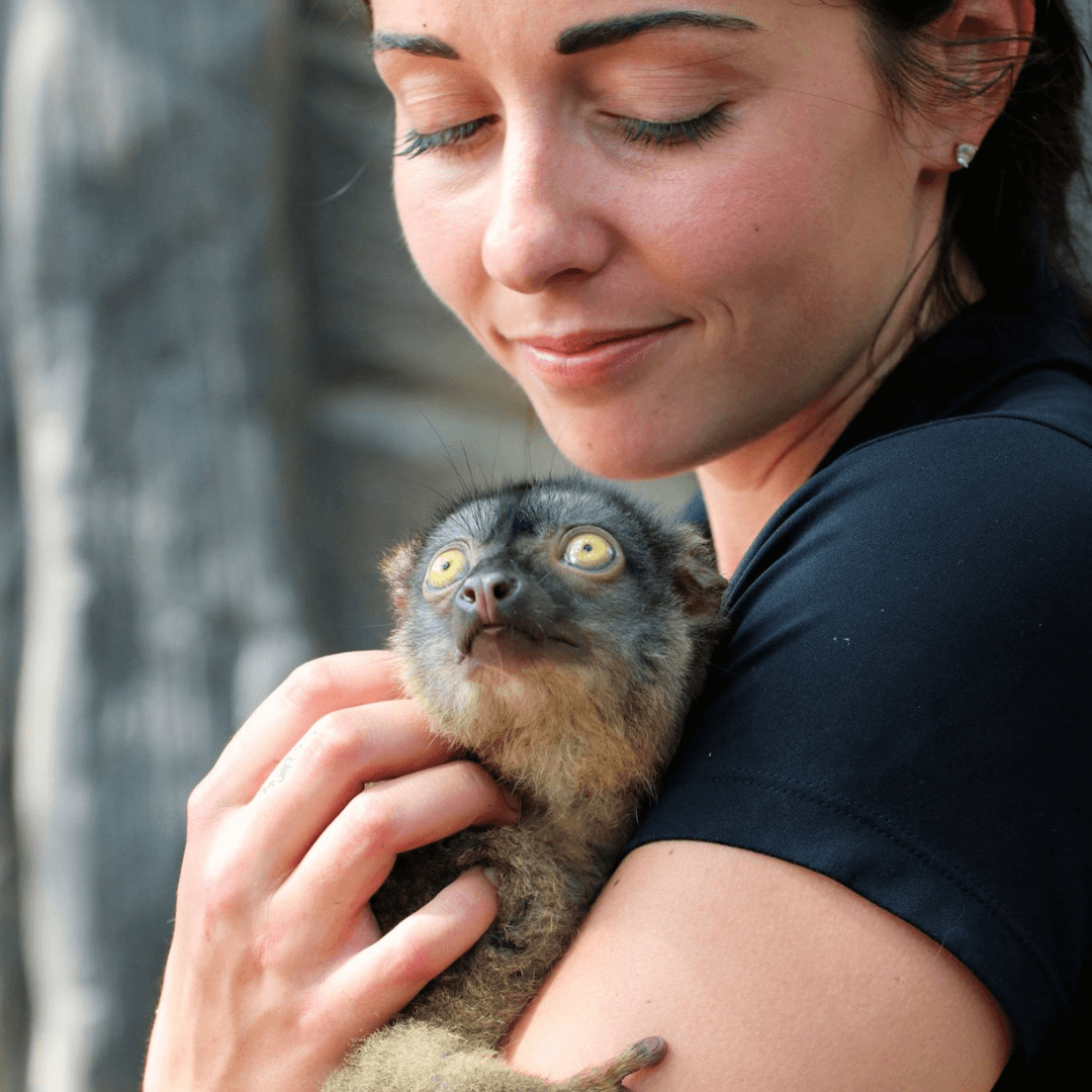 Private Common Brown Lemur Encounter in New Braunfels