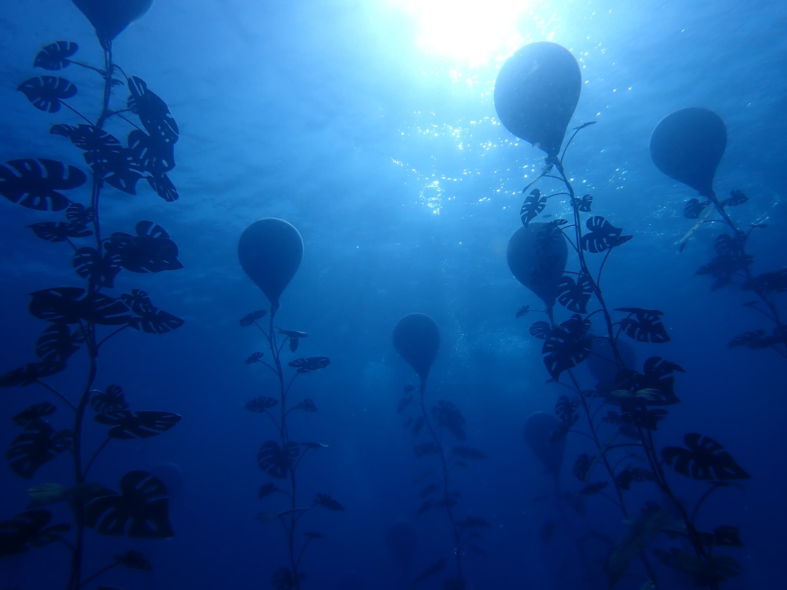 Water Activities at Taba Diving Centre: Beginner Diving Experience