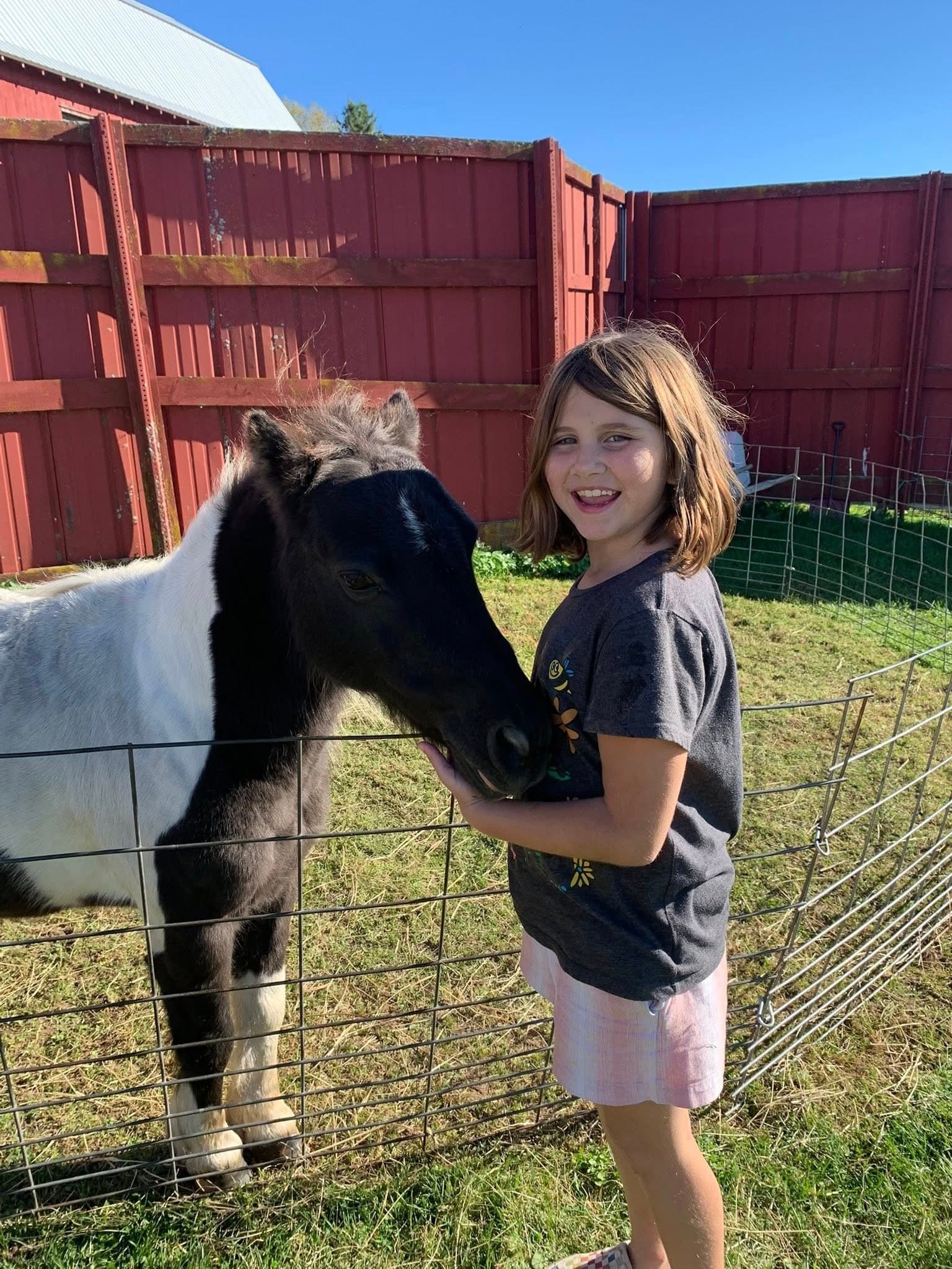 Mobile Petting Zoo: Hands-On Farm Visits for Parties & Events in Merrill, WI
