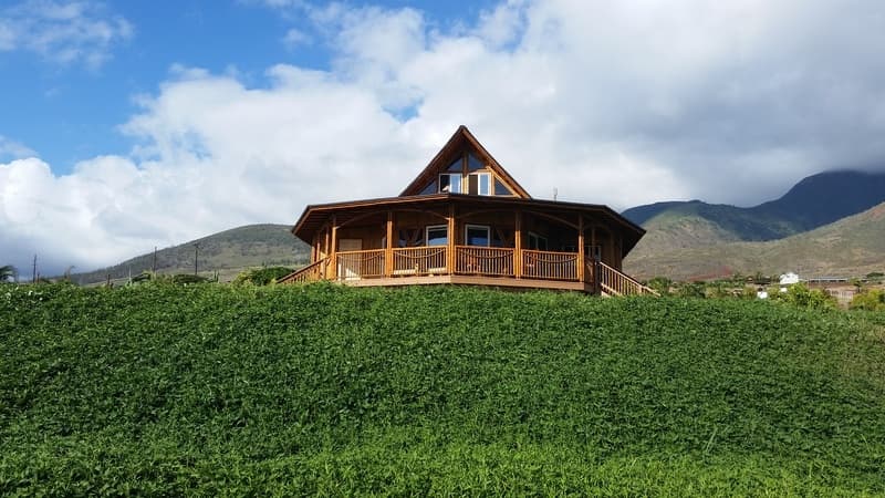 Discover Maui’s Herbal Tea Tasting Tour: A Cultural and Botanical Journey