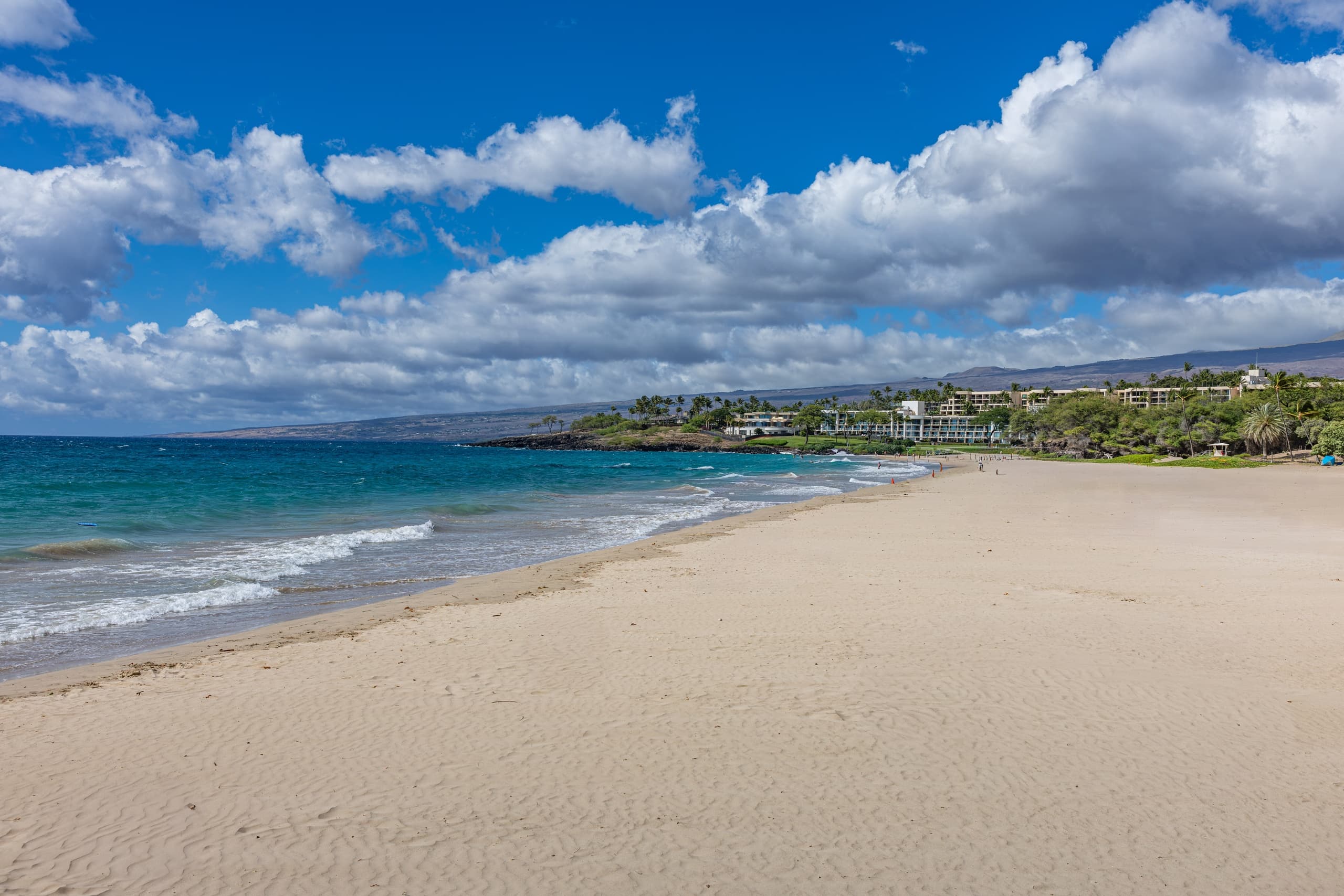 Explore Kona’s Best: Coffee, Turtles, Macadamia Nuts & Pristine Beaches