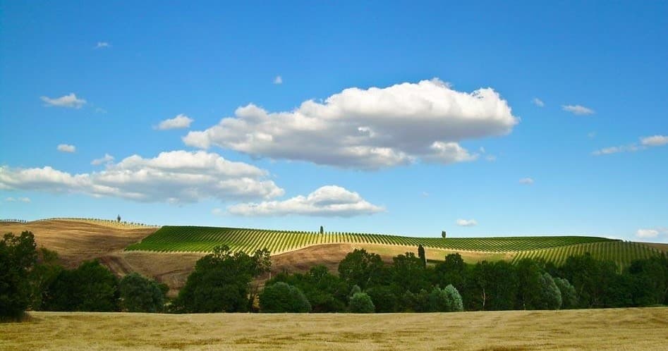 Rolling Tuscan vineyard hills with open sky, scenic countryside view