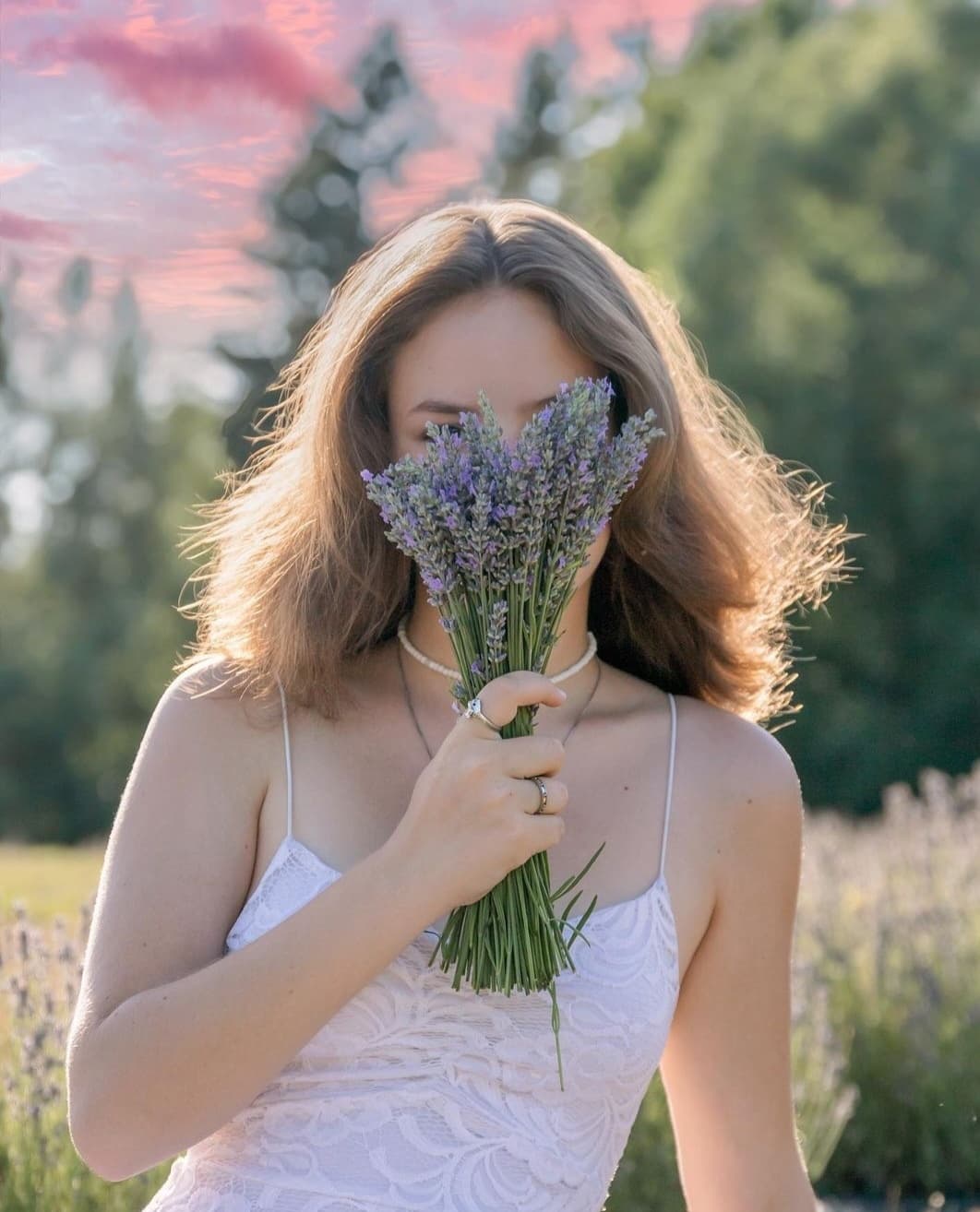Lavender Season at Erin Hill Acres in Hillsburgh, Ontario