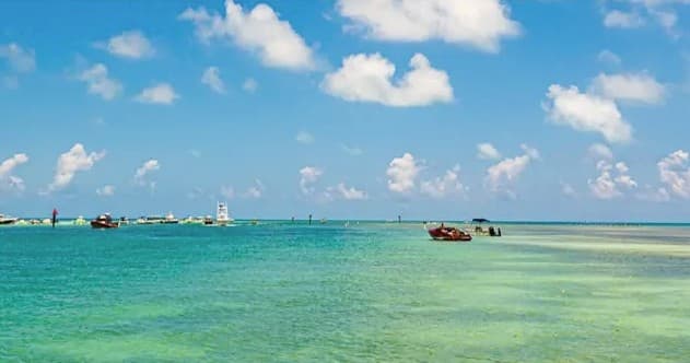 Sandbar & Beach Charters with Teal Water Charter Company in Sarasota