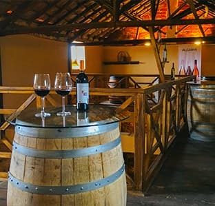 Wine Tasting in Algarve with Paxá Wines