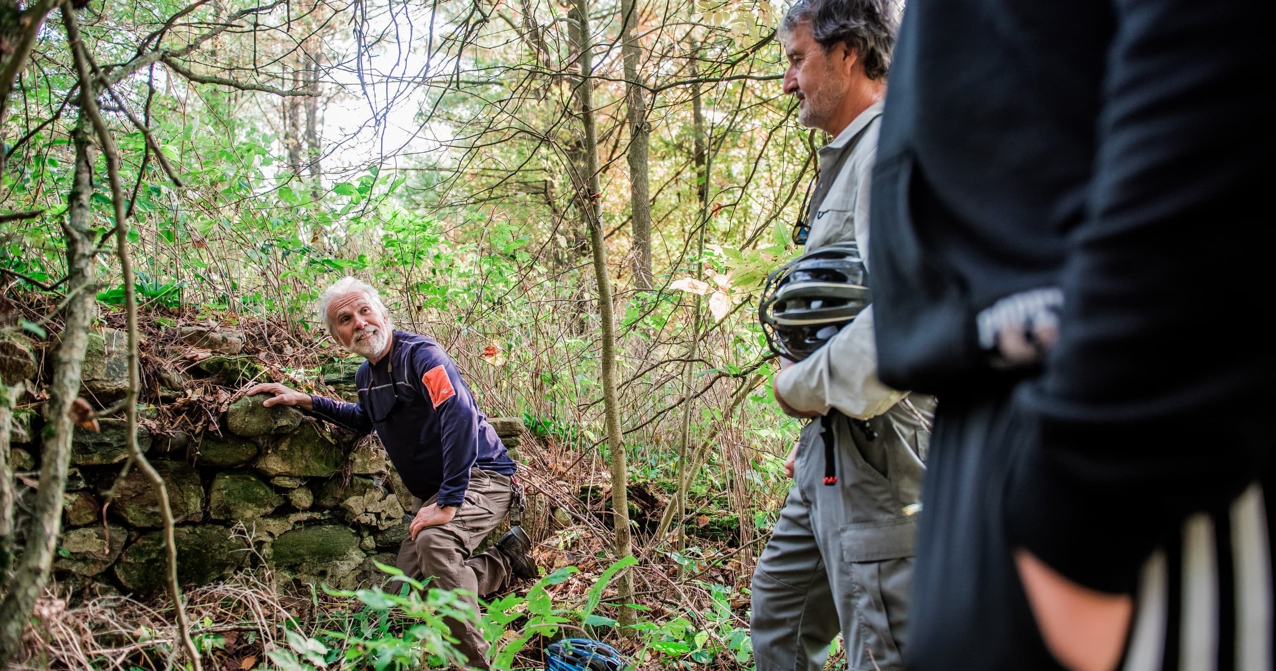 Nith River Forest Hiking Experience: Guided Carolinian Hike Near Paris, Ontario