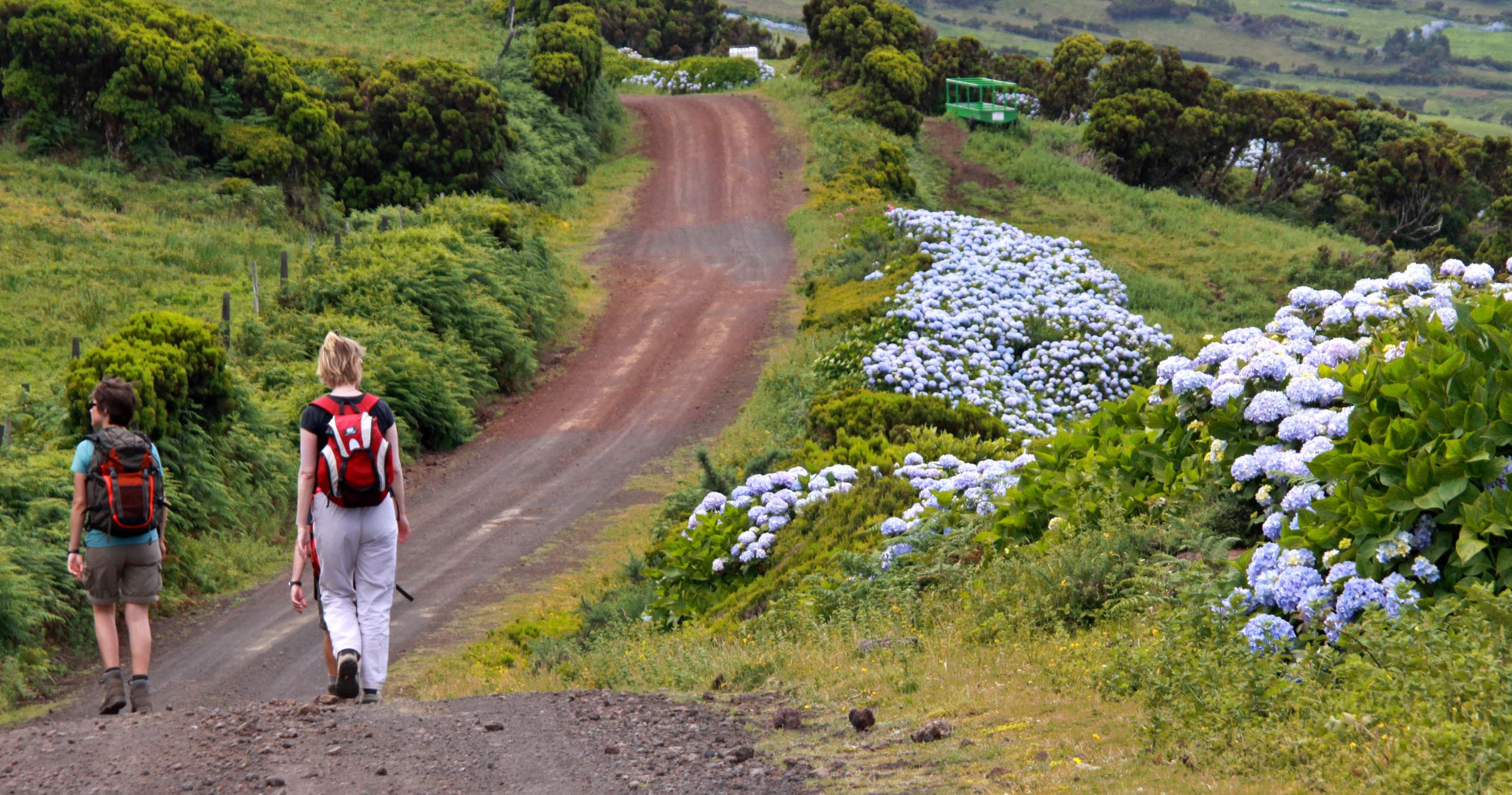 Hiking Rocha da Relva with BigBlue Adventures in São Miguel