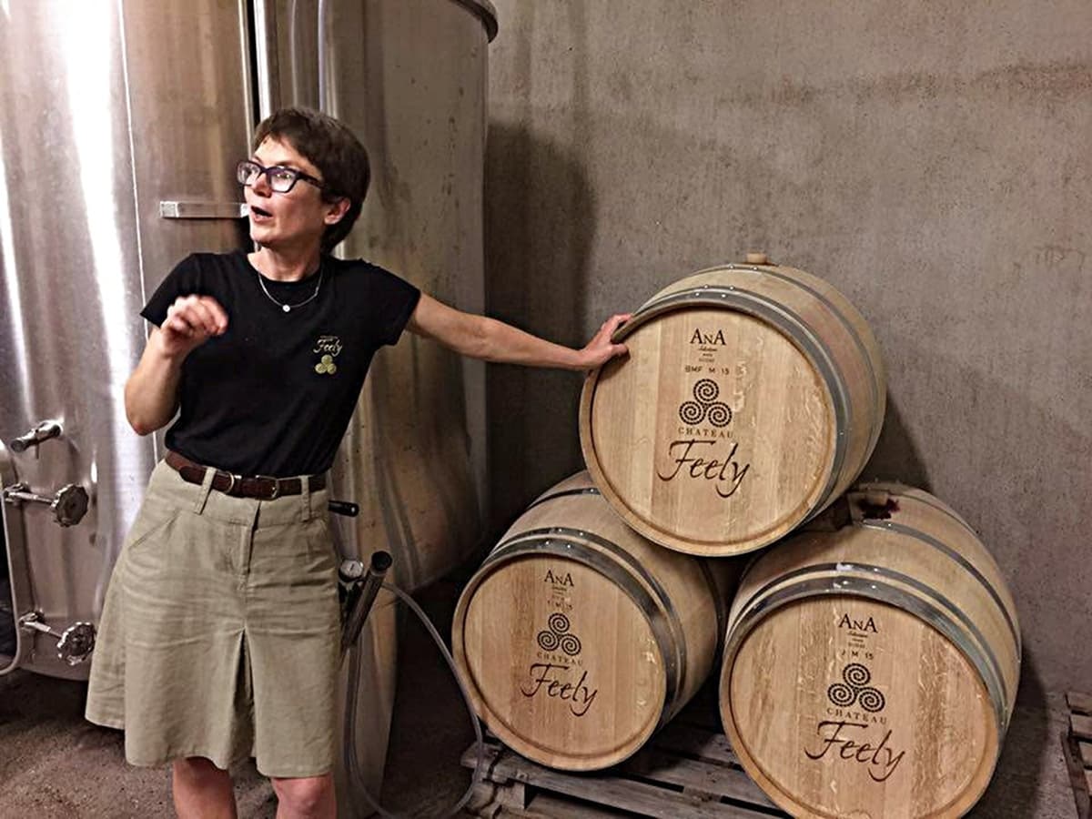 Winemaking 101 at Chateau Feely: Discover the Art of French Wine in Saussignac