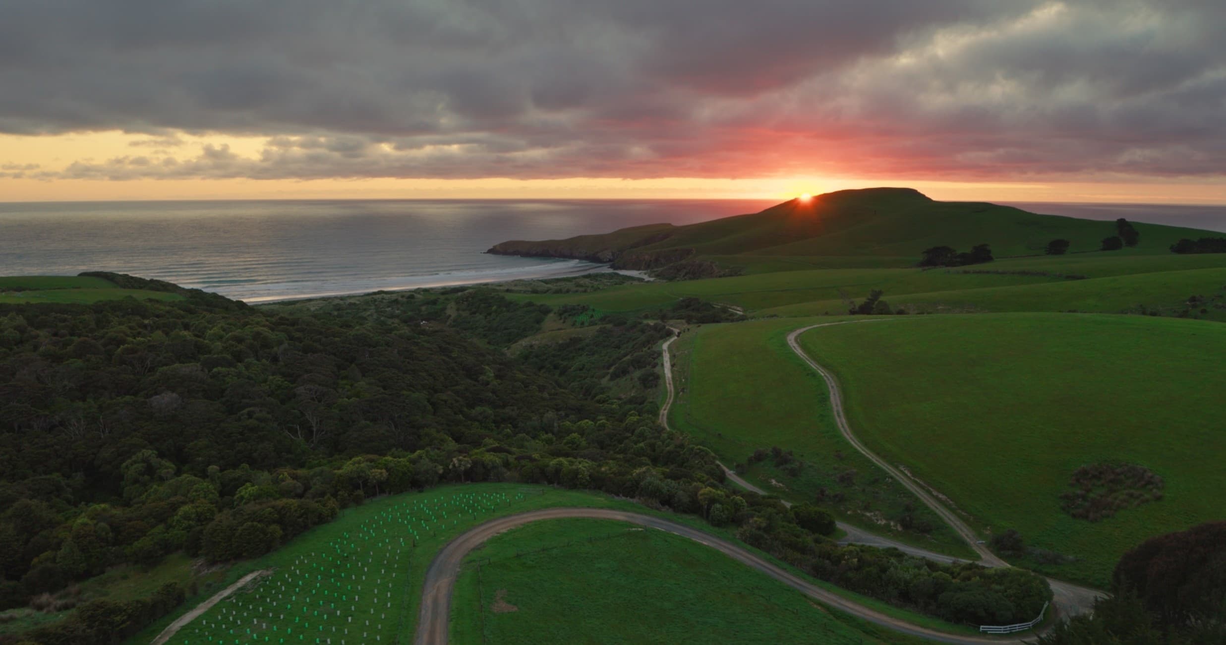 Wildlife Twilight Tours with The OPERA on Otago Peninsula