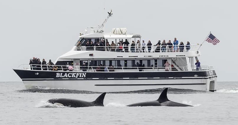 Private Charter Adventure in Monterey, California