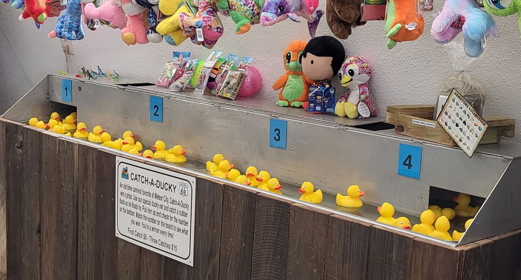 Water-Activities at Meteor City: Catch-A-Ducky Experience