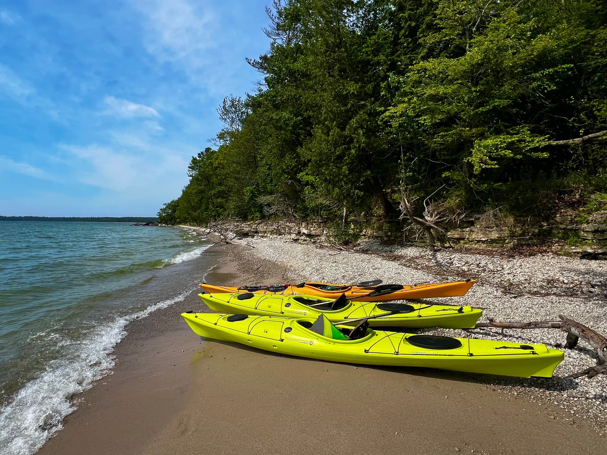 Newport State Park 1/2 Day Eco-Tour