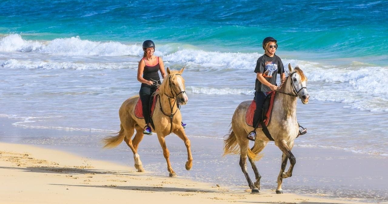Horseback Ride at Salt Flats & Kite Beach with Cabo Verde Tours