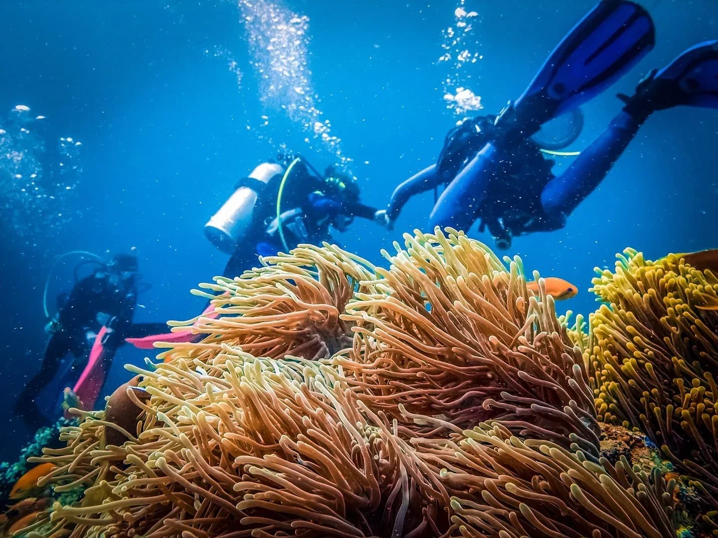 Diving Adventure at Menzel Cabo Verde – Underwater Exploration