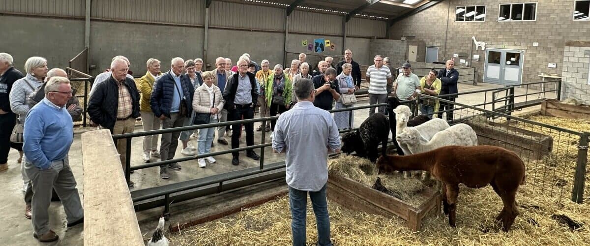 Wildlife & Farm Tours at De Alpacaboerderij