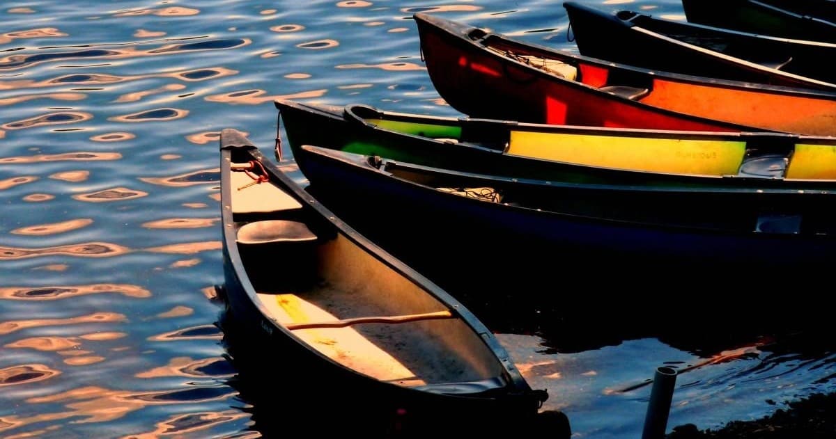Water Activities & Go With The Flo: Inland Kayaking Adventure in Alkmaar