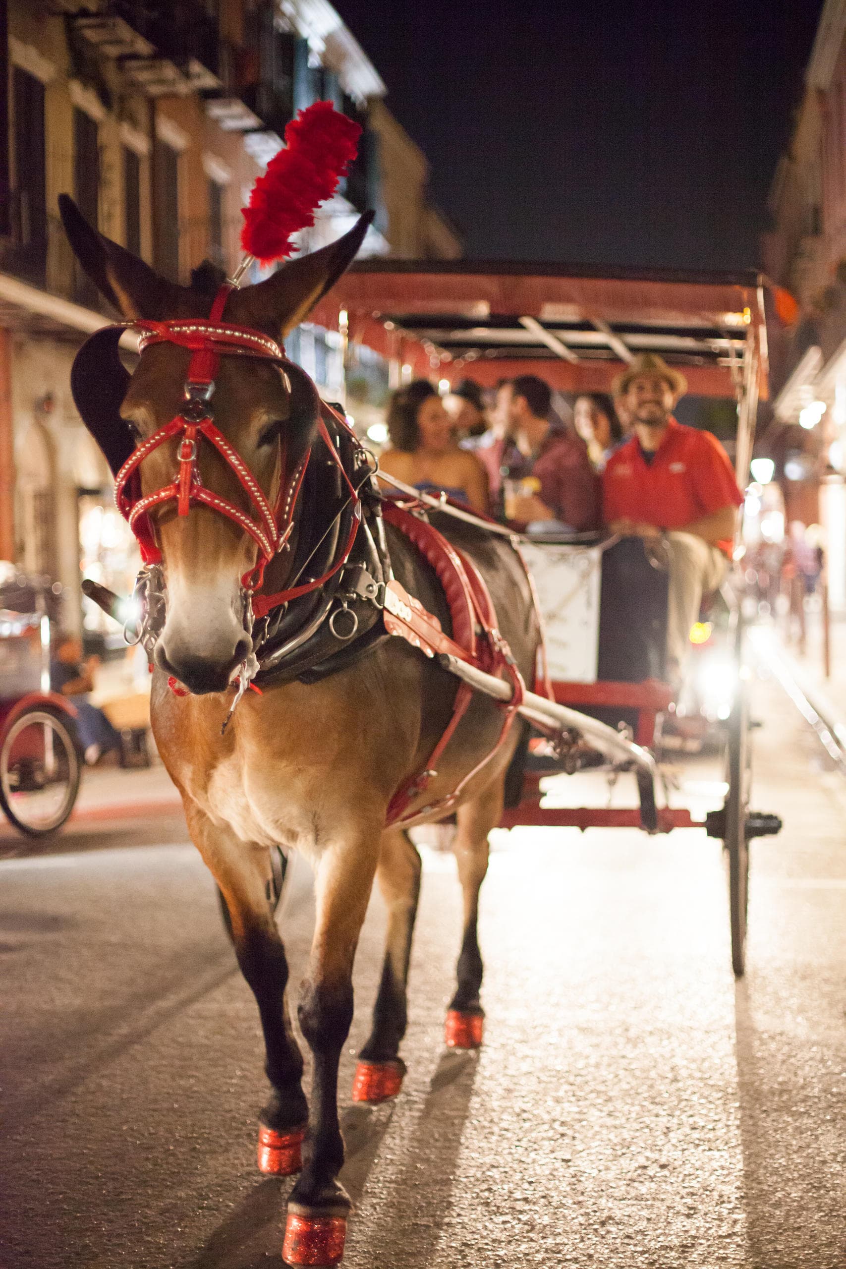 History & Haunts Carriage Tours by Royal Carriages in New Orleans