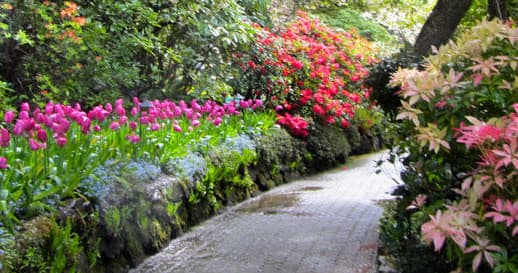 Discover Victoria, BC: Private Shore Excursion for Personalized Adventure