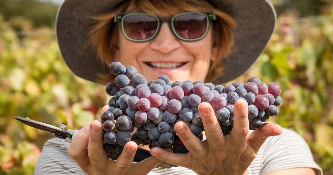 Carcavelos Wine Tasting with Farm Experiences & Tours