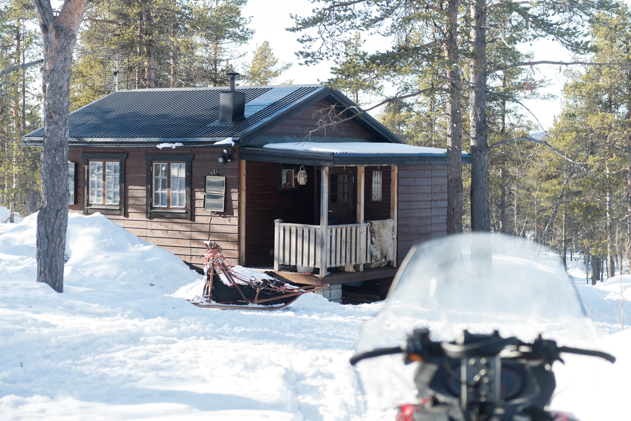 Ultimate Dog Sledding Adventure in Sweden’s Arctic Wilderness