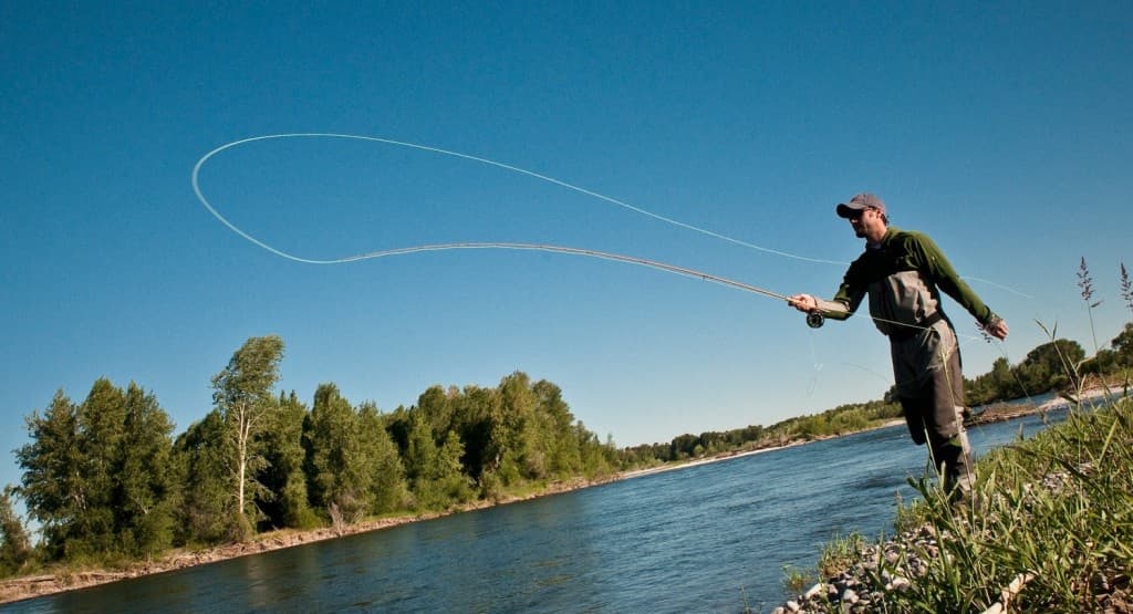 Master the Cast: 60-Minute Fly Casting Clinic in Longmont, CO