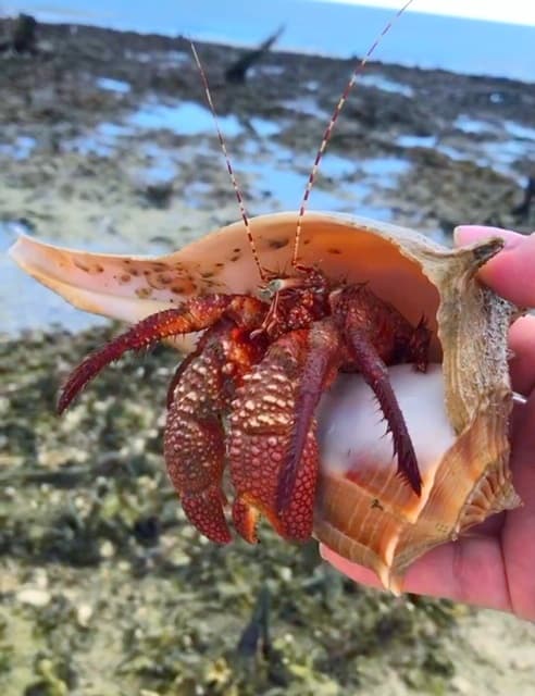 Grand Slam Eco Tour by Reel Kind Fishing & Tours in Goodland