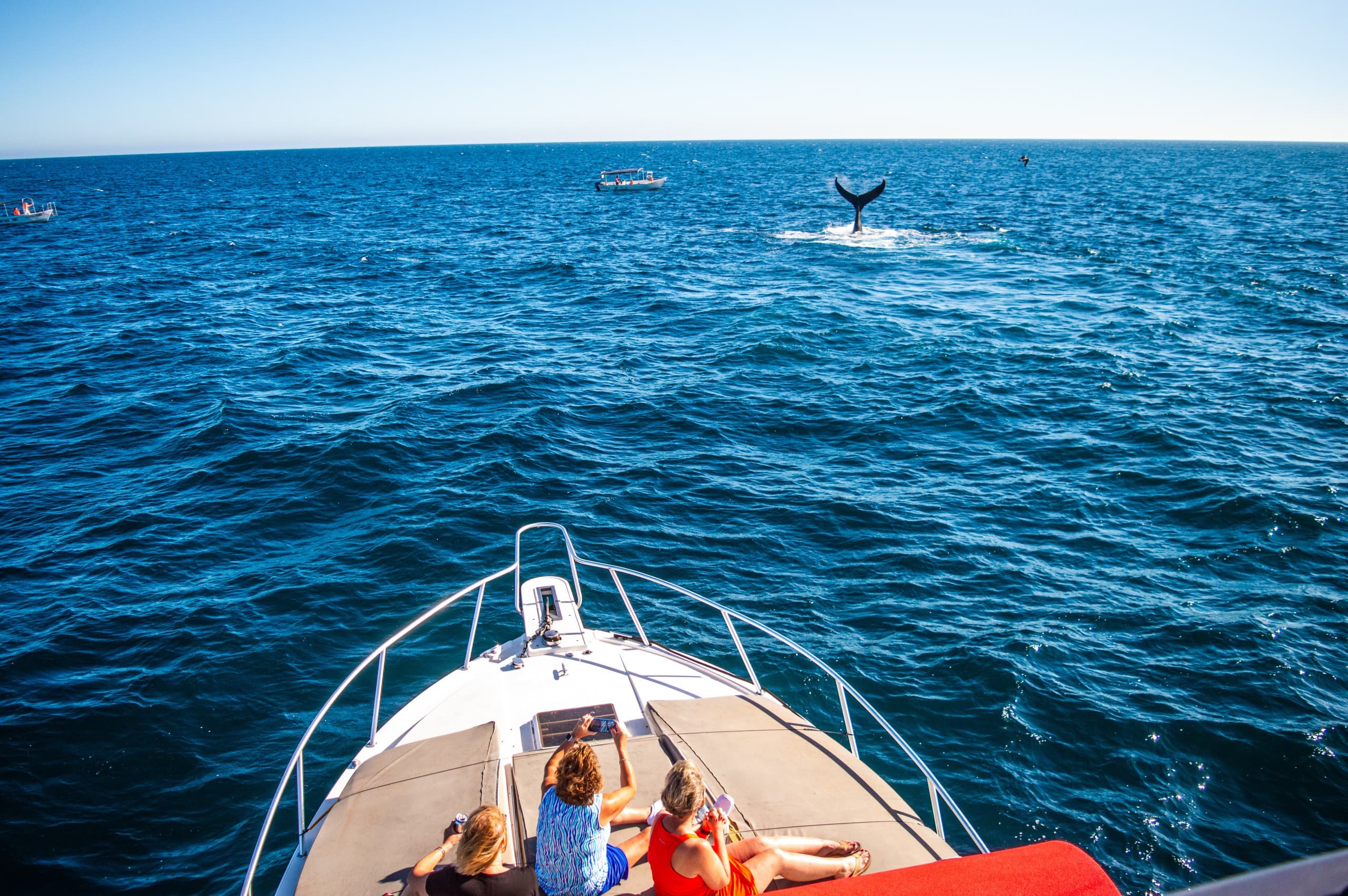 Private Yacht Charter to El Arco: Bon Amour Sunset & Snorkel in Cabo San Lucas photo 3