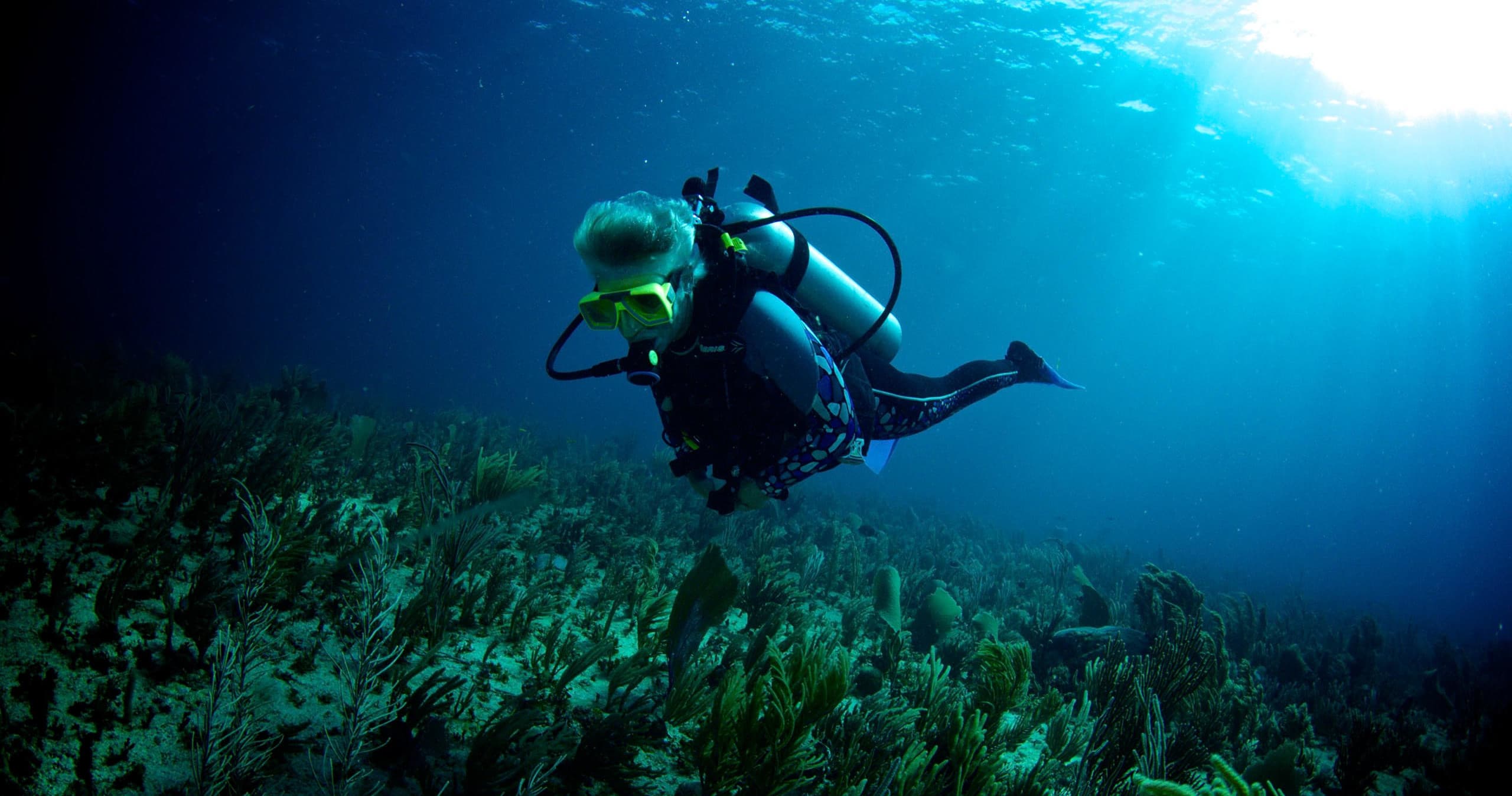 Scuba diver exploring coral reef in clear blue tropical waters