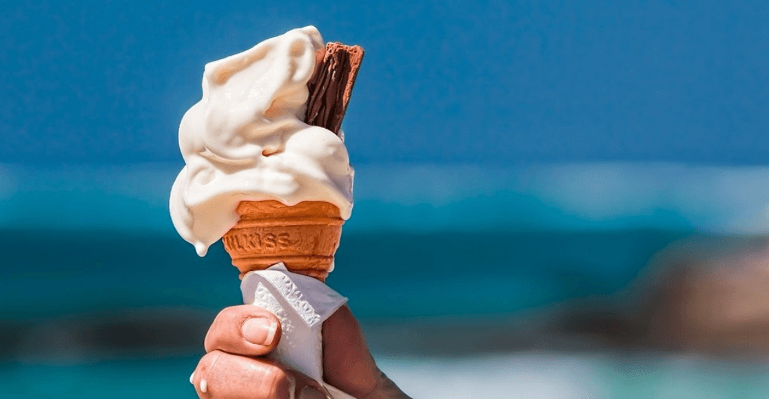 Water Activities: Minke Private Harbor Tour & Ice Cream Cruise on Nantucket