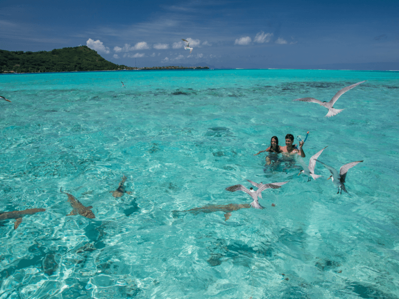 Romantic Lagoon Getaway with Moana Adventure Tours