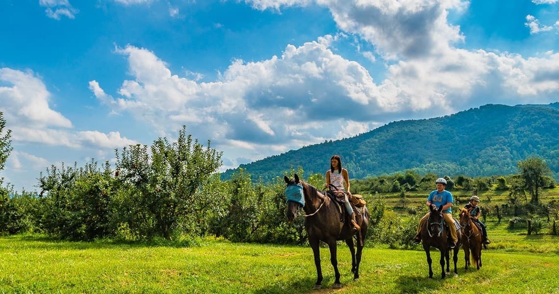 Guided Trail Rides at Graves Mountain Farm and Lodges in Virginia