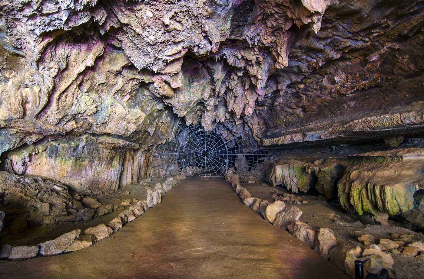 CTA Section Background Image